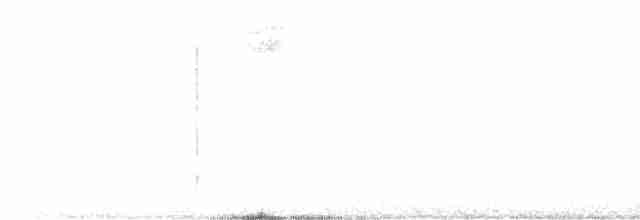 Белогорлая зонотрихия - ML612962299