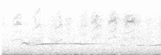 Веерохвостая кукушка - ML612963919