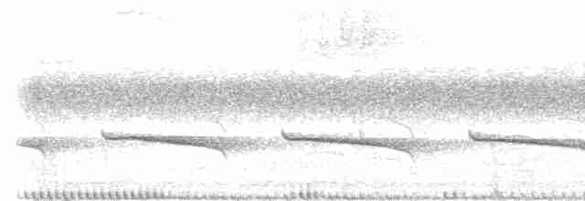 Striated Wren-Babbler - ML612969566