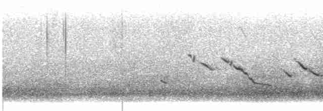 Chihuahuan Meadowlark - ML612969689