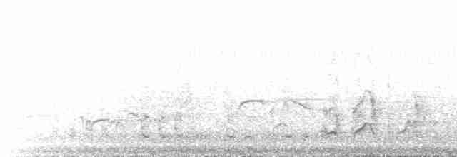 potápka rudokrká - ML612971175