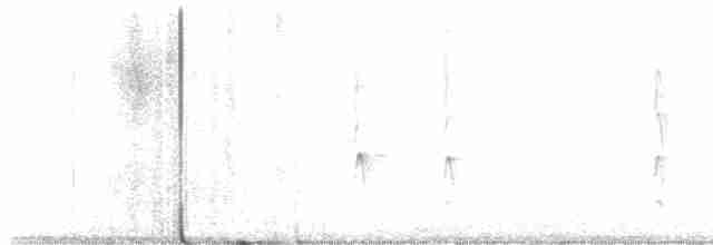 Troglodyte des forêts - ML612973348