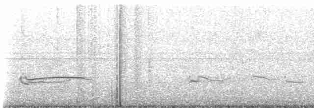 Синешапочная птица-мышь - ML612975084