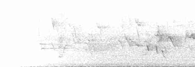 Дідрик смугастощокий - ML612976258