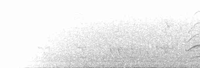 krahujec rudolímcový - ML612976303
