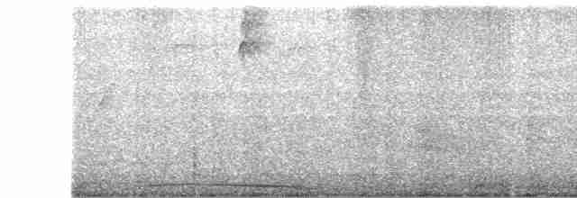 holub neotropický - ML612976452