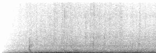 Белокрылая крачка - ML612976591