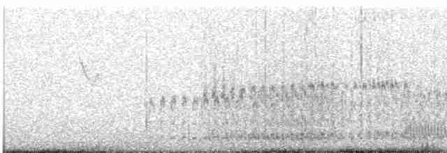 Гологлазая земляная горлица - ML612976726