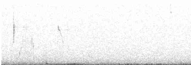 Короткохвостый мухолов - ML612976759