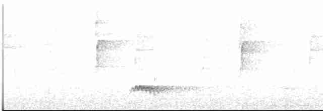 Каштановый скрытохвост - ML612977868
