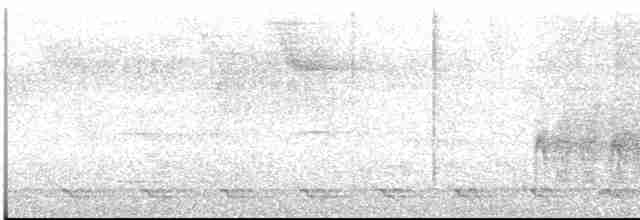 Жемчужнобрюхий дятел - ML612977882