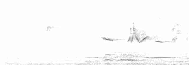 Горихвістка короткокрила - ML612978791