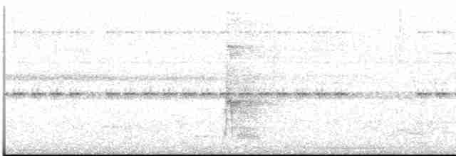 Жемчужнобрюхий дятел - ML612979202