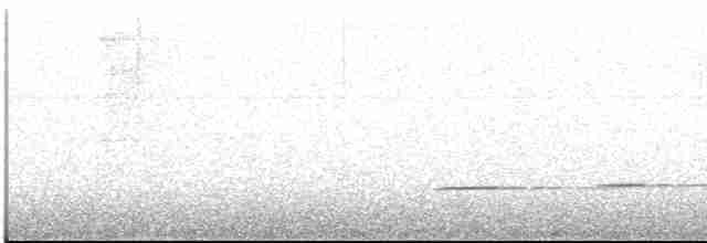Таязура-клинохвіст мала - ML612980024