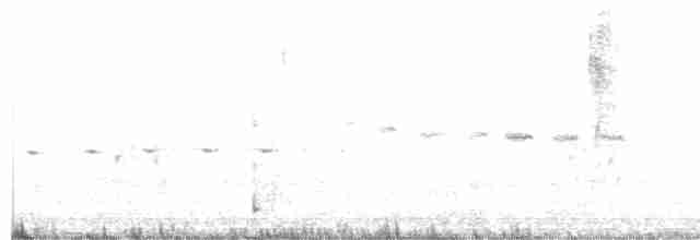 Светлоголовая цистикола - ML612983200