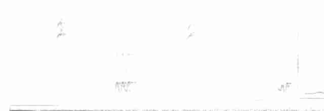 Kızıl-Beyaz Çıtkuşu - ML612984178