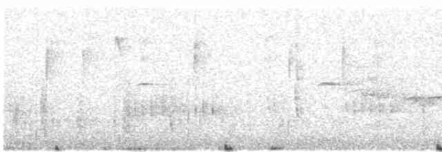Синелобая горихвостка - ML612987251