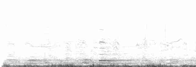 黃嘴天鵝 - ML612988350