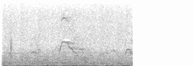 Eurasian Wigeon - ML612990681
