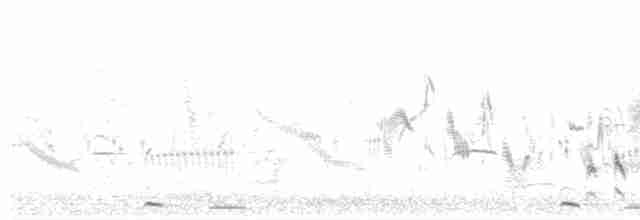 Eastern Orphean Warbler - ML612991088