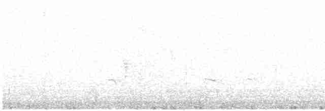 Пестрогорлая юхина - ML612993264
