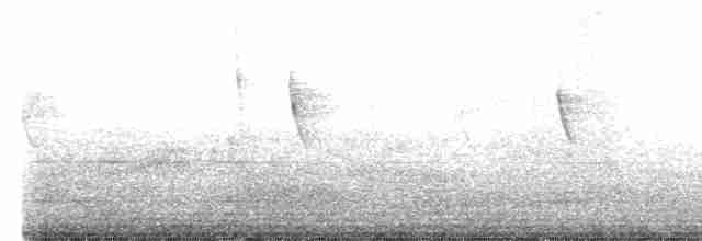 Еленія жовточерева - ML613000480