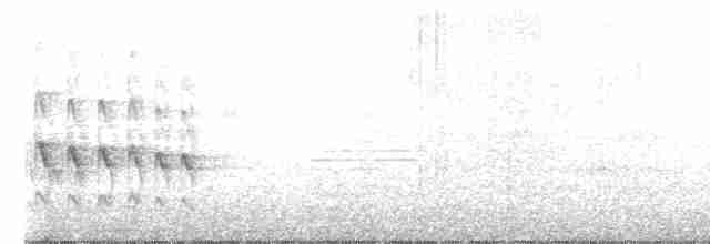 Grauschwanz-Dickichtschlüpfer - ML613000521
