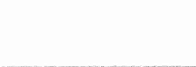 Пестрогрудая овсянка (Лисья) - ML613002132