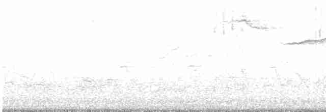 European Starling - ML613002547