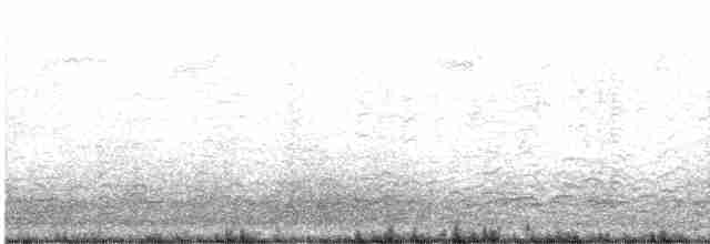 Малая канадская казарка - ML613005355