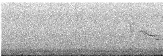 Eastern Meadowlark - ML613005395