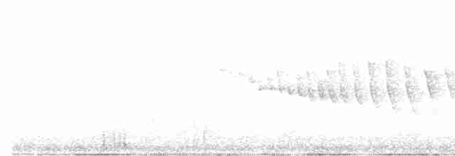 Adelaide's Warbler - ML613006231