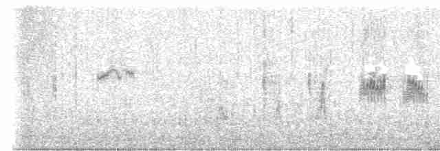 Mirlo Acuático Norteamericano - ML613009630