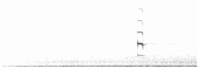 Каролинский погоныш - ML613010251