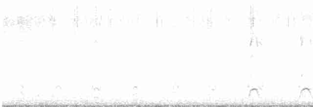 シノリガモ - ML613010854
