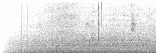 黑腹燕鷗 - ML613012451