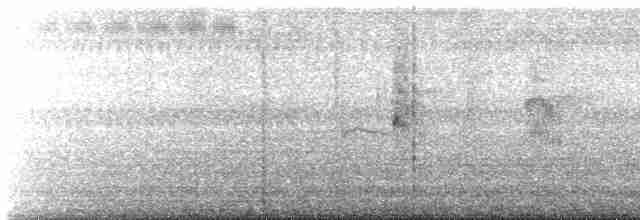 Whiskered Tern - ML613012452