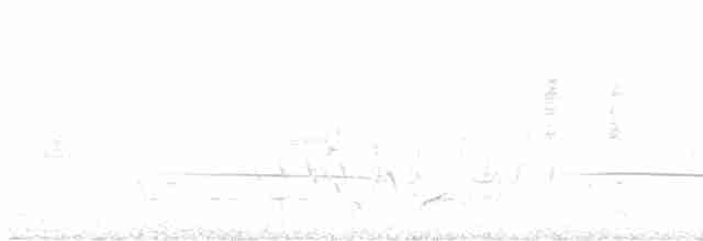 Black-eared Cuckoo - ML613013407