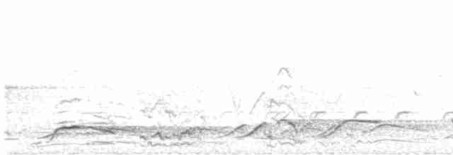 Weißbürzel-Krähenstar - ML613013859