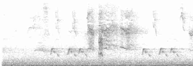 Spotless Crake - ML613014866