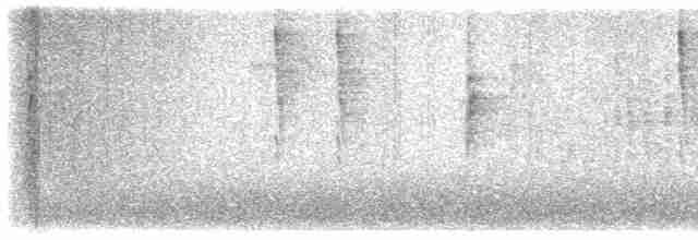 Troglodyte de Baird - ML613015089