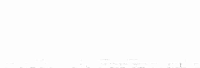 アメリカキンメフクロウ - ML613016120