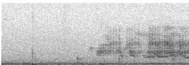 Чагарниця чубата - ML613016430