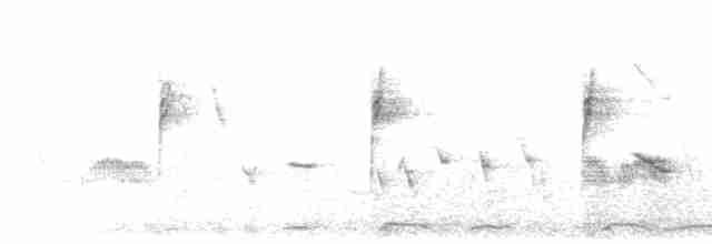hýl rudoprsý [skupina mexicanus] - ML613016901