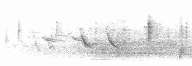 Трупіал чорногузий - ML613017743