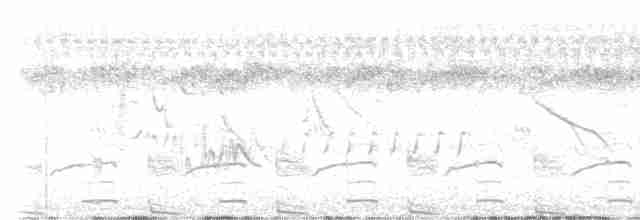 chřástalík kaštanovoprsý - ML613017989
