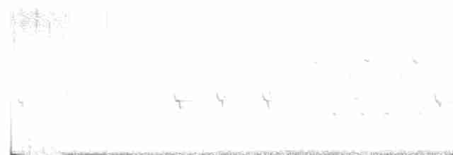 Шишкар ялиновий - ML613017991