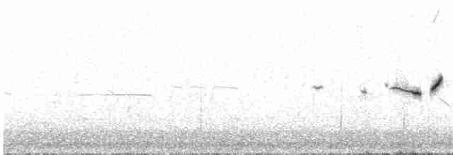 Plectrophane de Smith - ML613018098