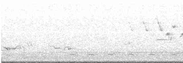 Yellow Warbler - ML613018303