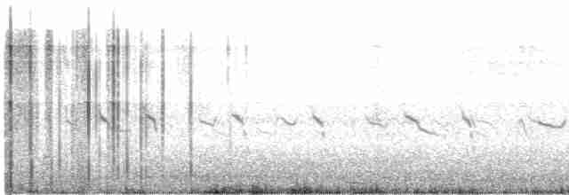 Great Grebe - ML613019577